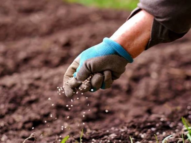 Cresce importao de fertilizantes, segundo boletim Conab; oua: