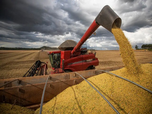 Agro eleva PIB de 2023, soja e milho lideram a produo mundial; oua: