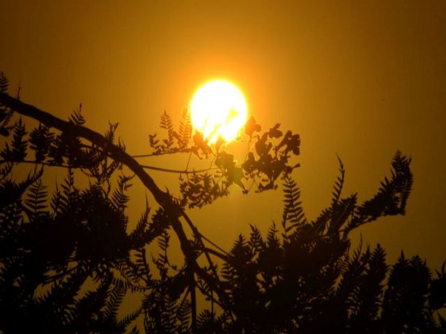 Onda de calor em Mato Grosso do Sul deve persistir at a prxima semana