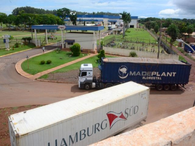 Mato Grosso do Sul comea 2024 exportando mais carne bovina