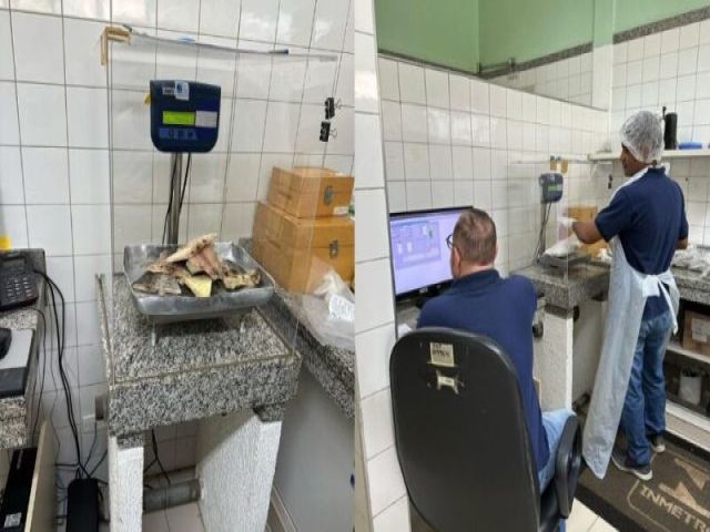 Inmetro reprova metade dos peixes vendidos em MS por excesso de gelo