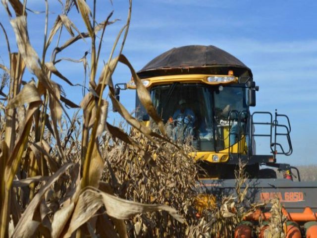 Produtores de Mato Grosso do Sul podero renegociar dvidas do crdito rural