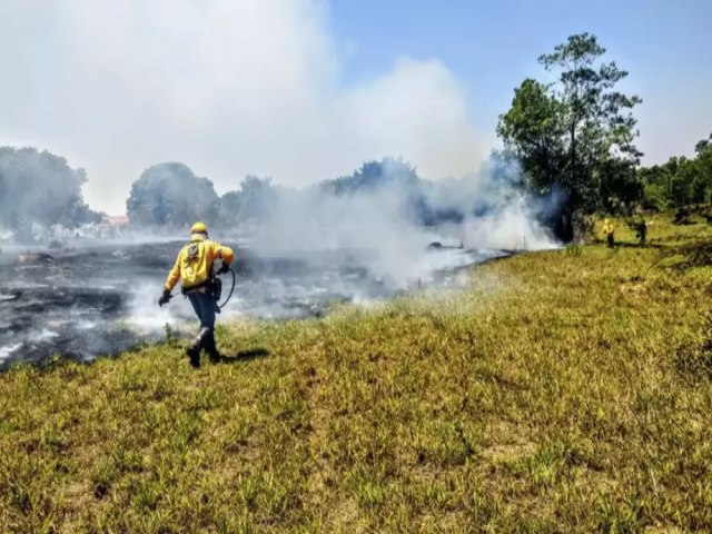 Governo de MS lana edital de R$ 6 milhes para pesquisas de mudanas climticas