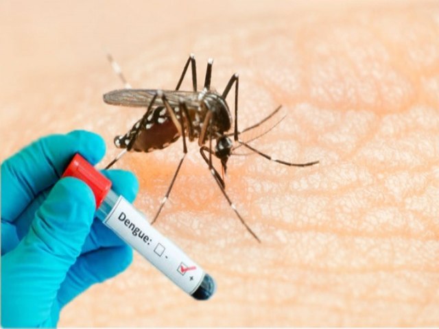 Prefeitura de Maracaju divulga Boletim Epidemiolgico da Dengue