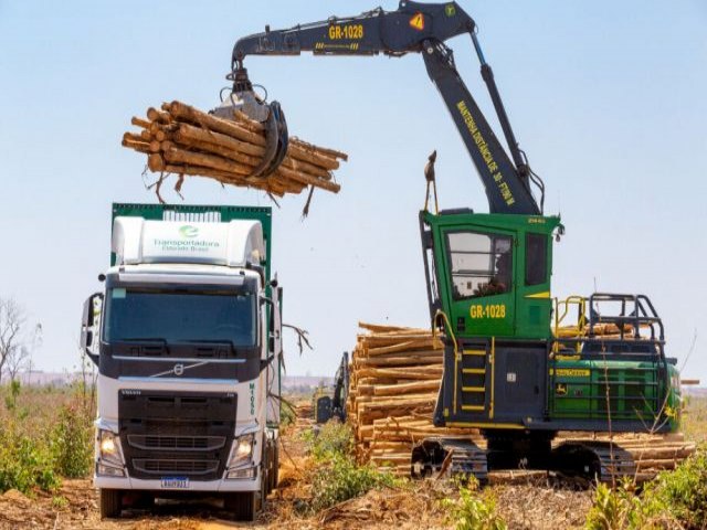 Mato Grosso do Sul mantm aumento nas exportaes no primeiro trimestre