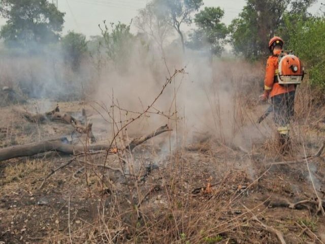 Satlite mostra que desmatamento ilegal se mantm no Pantanal de MS