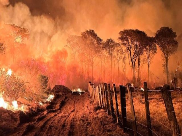 Risco de fogo no Pantanal de MS est concentrado em 127 fazendas, segundo o Imasul