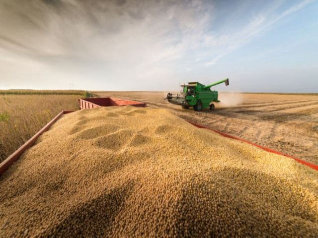 Mato Grosso do Sul teve a maior queda de produo de gros do pas