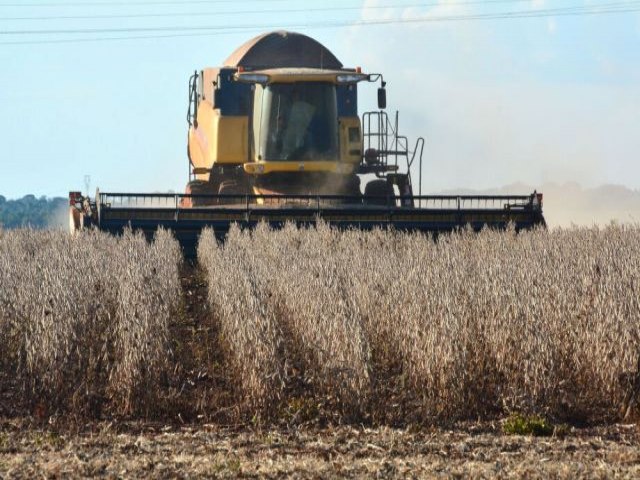 Quebra da safra de soja  estimada em R$ 4 bilhes em Mato Grosso do Sul