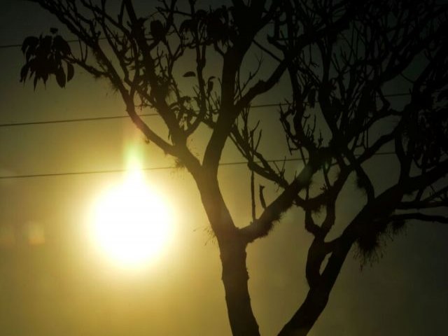 Sem previso de chuva, MS continua sob alerta de onda de calor na semana