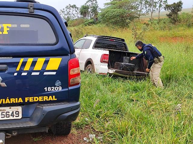 Polcia Rodoviria Federal apreende mais de meia tonelada de maconha em Maracaju