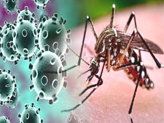 Prefeitura de Maracaju divulga Boletim Epidemiolgico da Dengue