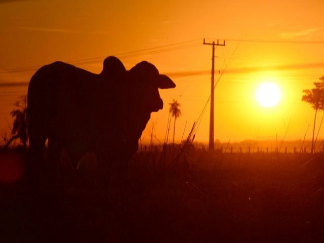 Com chuvas abaixo da mdia, inverno ser seco em Mato Grosso do Sul