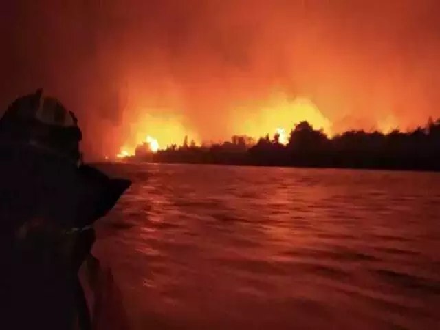 STF reconhece omisso do Congresso e d prazo para lei de proteo ao Pantanal