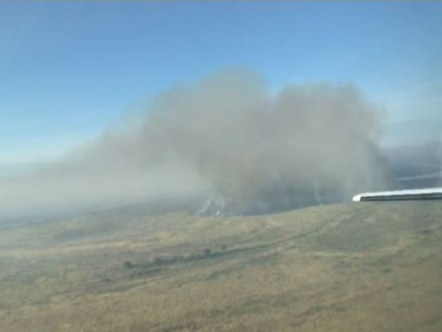 Queimadas no Pantanal de MT podem cruzar divisa com Mato Grosso do Sul