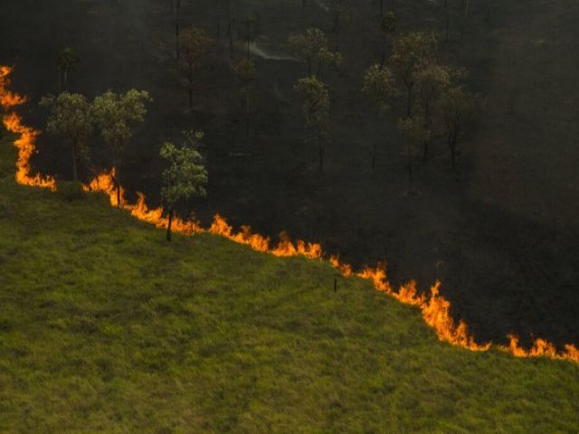 Brigadistas levam at 7 horas para chegar a focos em reas isoladas do pantanal