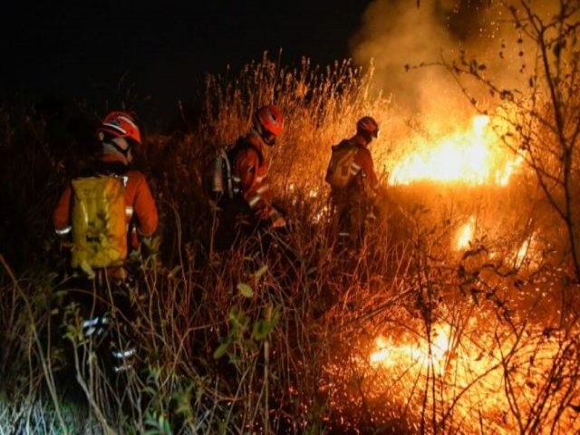 Operaes de combate no Pantanal recebem reforos do Exrcito e Fora Nacional