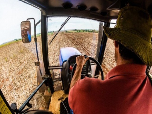 Pequenos produtores de soja dominam cenrio brasileiro, revela estudo da Embrapa