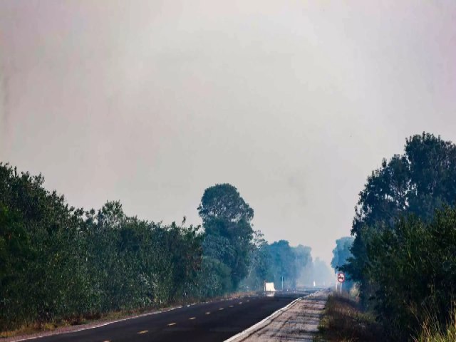 Vem a? Meteorologia aponta possibilidade de chuva rpida no Pantanal e outras regies neste fim de semana