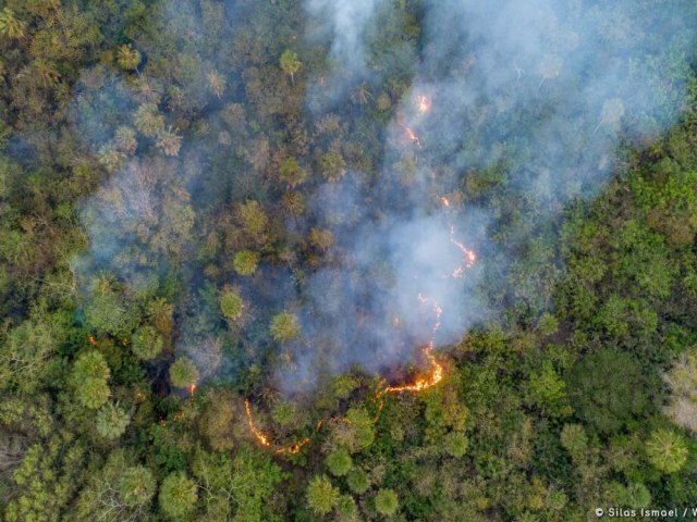 Frente fria reduz focos de calor no Pantanal de Mato Grosso do Sul