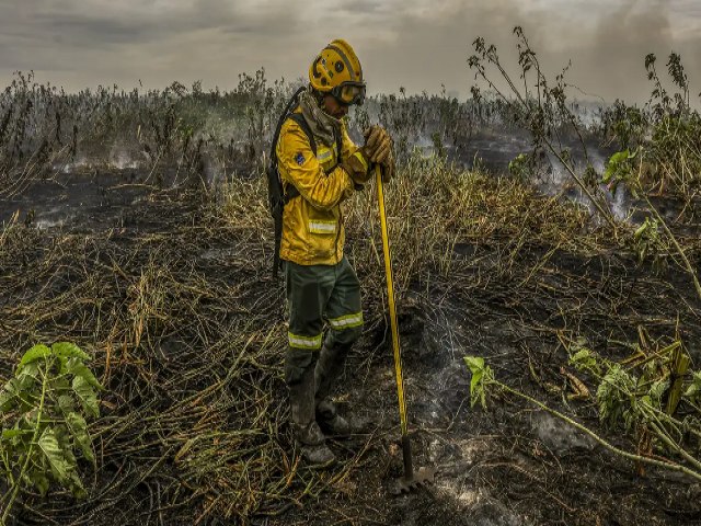 Pantanal: FAB lana 12 mil litros de gua por voo em combate a fogo; oua: