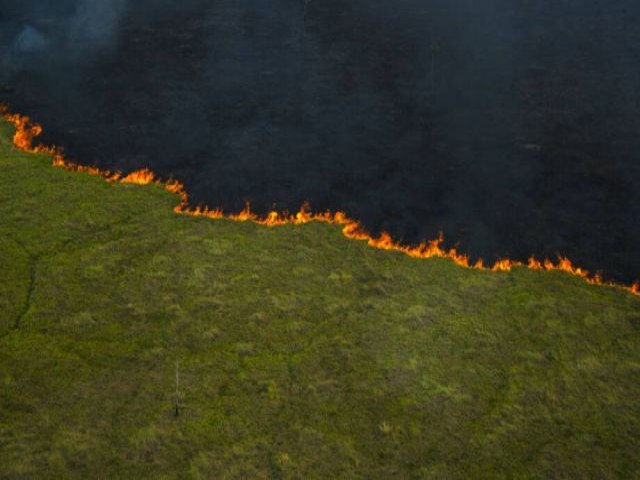 Fogo no Pantanal comea 'sempre nos mesmos lugares',segundo relatrio