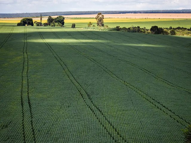 Plano Safra: produtores do agronegcio tero R$ 400 bi em crdito; oua: