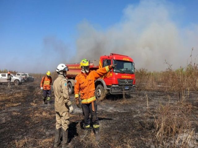 Aps queda brusca, ritmo das queimadas no Pantanal volta a subir