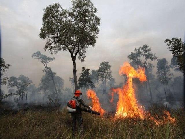 Um quarto da rea queimada no Pantanal est em regio protegida