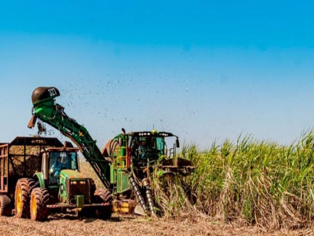 Com dinheiro dos sheiks rabes, usina de cana bate recorde em Mato Grosso do Sul