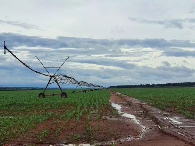 MS aprova R$ 227 milhes do FCO para irrigao, manejo de solo e avicultura