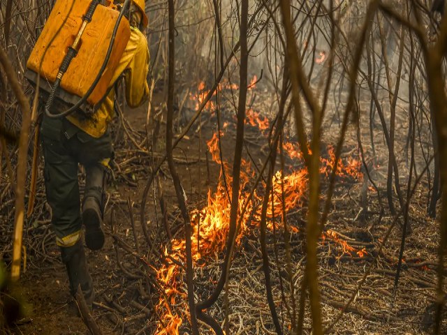 Mais R$ 137 milhes so destinados para o combate ao fogo no Pantanal; oua: