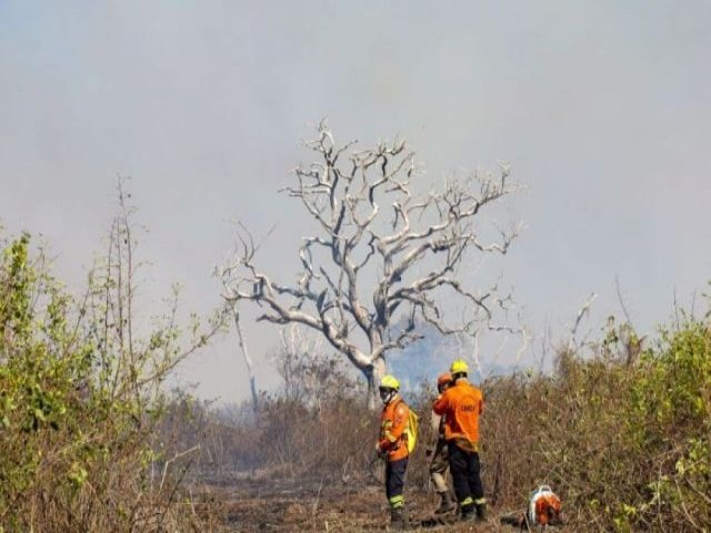 Governo de Mato Grosso do Sul vai 'financiar' quem combate incndios no Pantanal 