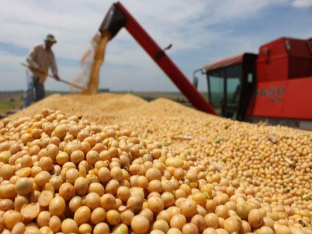 Agronegcio bate recorde de US$ 82 bilhes com exportao de produtos brasileiros