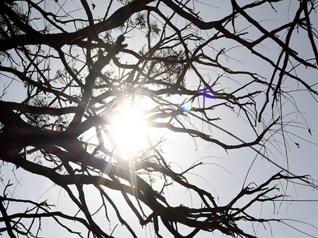 Domingo com tempo estvel e tem sol como destaque em MS; Maracaju 32C