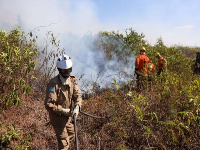 Estado receber 40 bombeiros de trs estados para ajudar a combater incndios no Pantanal