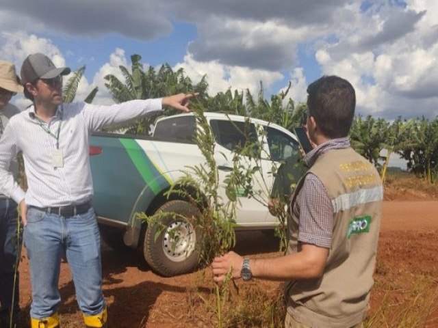 Governo de MS publica abertura de concurso da Iagro com 29 vagas para mdico veterinrio