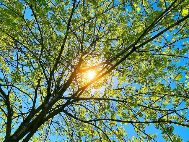 Semana que promete muito frio comea com sol e calor de quase 40C em Mato Grosso do Sul