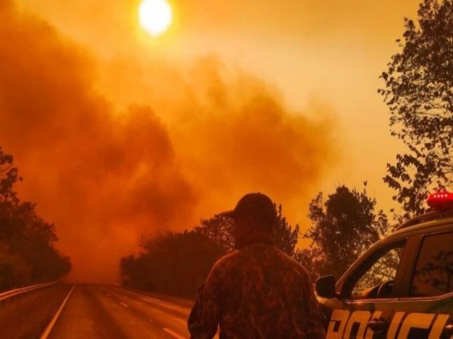 Alvio das queimadas no Pantanal deve durar s at domingo com alta das temperaturas