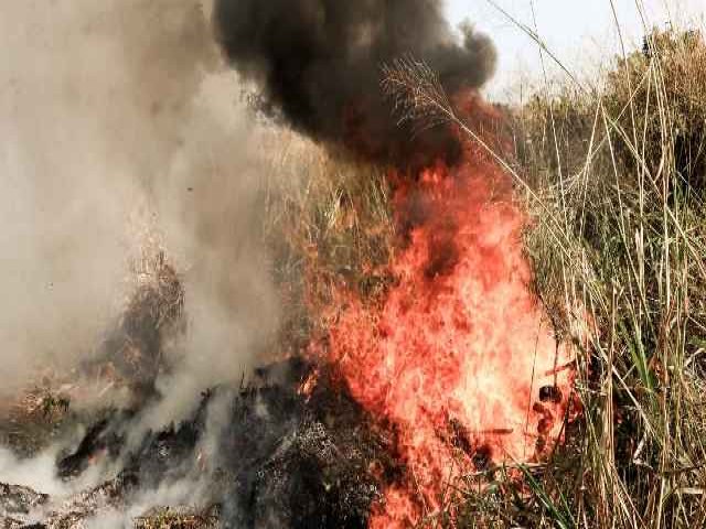 Termmetros podem chegar aos 39C em MS e risco de incndios atinge nvel extremo nos prximos dias