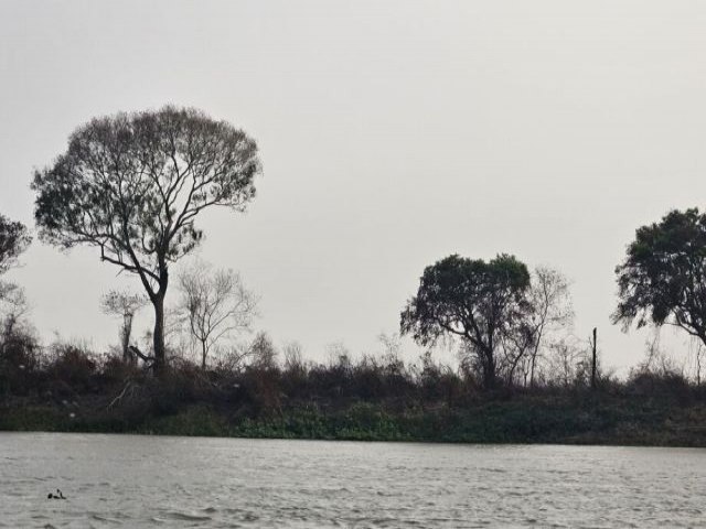 Para ajudar a combater incndios, MS conta com equipe europeia no Pantanal