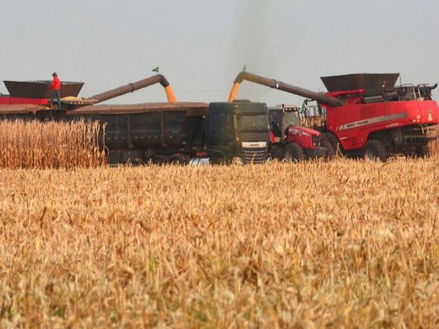 Falta de mo de obra qualificada preocupa setor agropecurio de MS