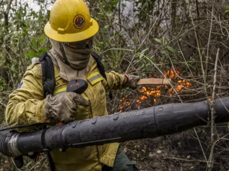 Aps queima de 1,76 milho de hectares, Ibama dobra brigadistas em MS