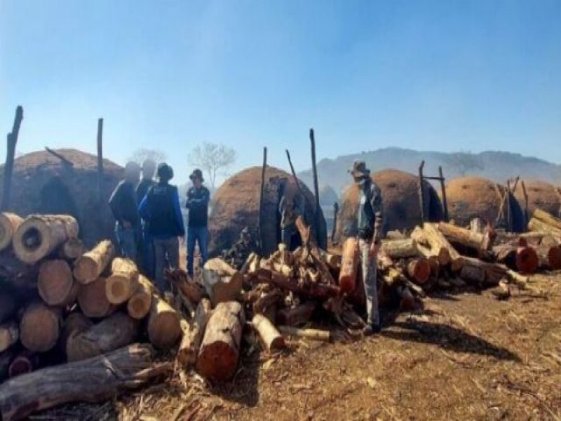 Operao resgata nove paraguaios em situao de trabalho escravo em MS