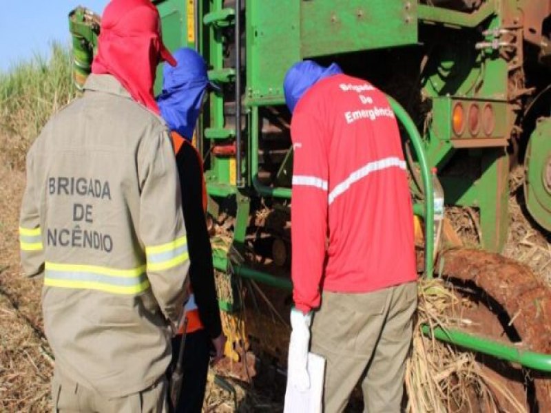 Setor de Bioenergia intensifica aes preventivas contra incndios em canaviais