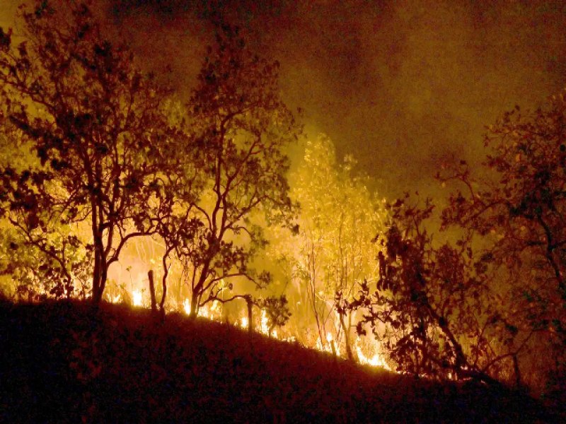 Acre e Mato Grosso do Sul entram em situao de emergncia; oua: