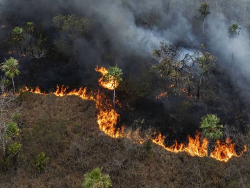 Ibama aplica multas de R$ 107 milhes por incndio iniciado em ferrovia no pantanal