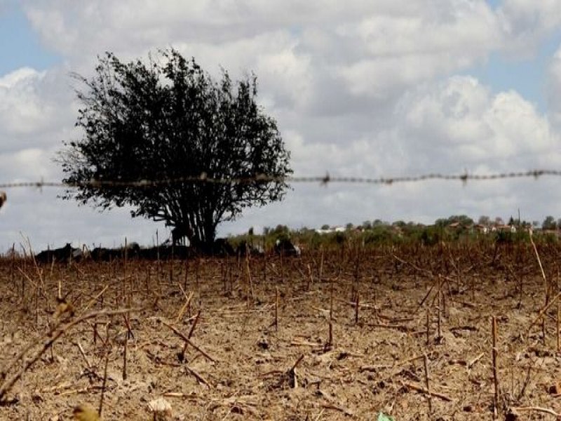 Seca atingiu mais de 80% do territrio brasileiro, diz relatrio; oua: