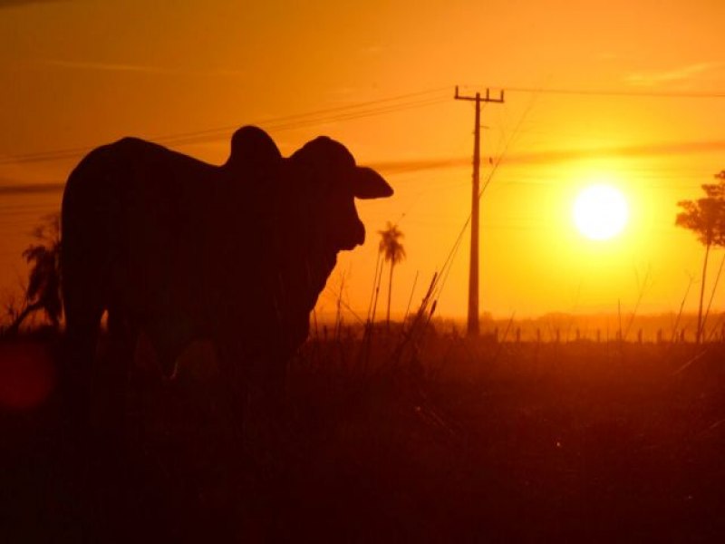 Trs Lagoas registra recorde de baixa umidade do ar em MS, com 7%; Maracaju 12%