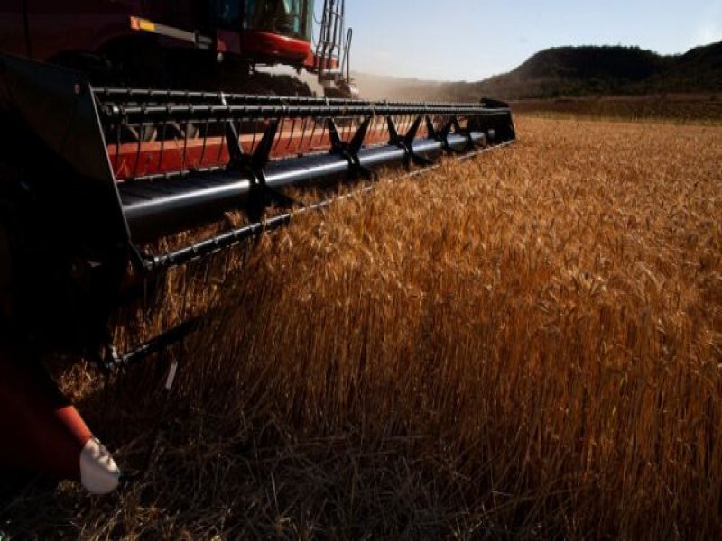 Com R$ 51,5 bilhes, produo agrcola de Mato Grosso do Sul bate recorde